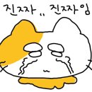 단우 호스텔 이미지