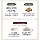 하루라이브