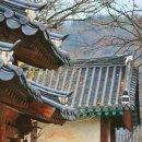 전주샹그릴라CC 이미지