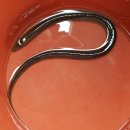 아미로농장 이미지