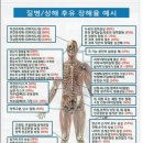 다솜플랜