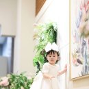 노란꽃민들레사진관