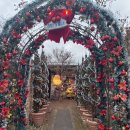 임자중학교 | [밀양 카페]밀양 트리인블루 카페 내돈내산 후기