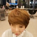호박창고 - 남구 | 호박창고