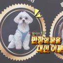 프로포즈365과일야채 - 은평구 통일로 731 | 프로포즈365과일야채