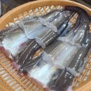 오두리포차 이미지