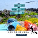 썬라이즈호텔 섭지코지점 | 제주도 동쪽 서쪽 여행 코스 + 오션뷰 카페 추천 (실제 다녀온 후기)
