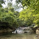 지리산옻닭흑돼지 이미지