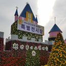 국화축제장 입구 | 익산 천만송이국화축제장 방문했던 후기 올려봅니다