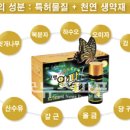 (주)바이오알파 이미지