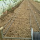 선인농장 이미지