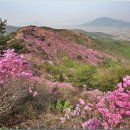 5월4째주 산행과 6월초에 떠나는 특별가 해외여행 안내 이미지