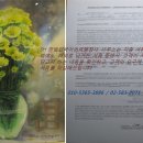 한빛 외국어번역 행정사사무소 이미지