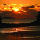 시민 안전 교양강좌 이미지