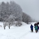 대관령목장 이미지