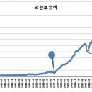 외환보유액 4156억 달러 이미지