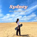 돌고래농장 | 호주 시드니 여행 포트스테판 투어 돌고래 후기 + 할인쿠폰