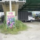 식물나라화원 이미지
