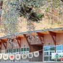 성불산자연휴양림 캠핑장 이미지