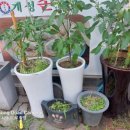 작전역 4번 출구 이미지