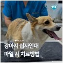 더오래 동물병원 이미지