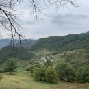 고성산소