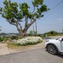 바다향기애 이미지