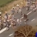 경주중학교 이미지