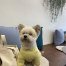 코코다방 이미지