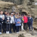 제주미니버스투어 이미지