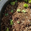 이레축산2 이미지