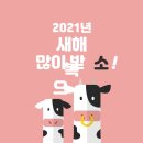 세종티앤씨 이미지