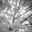 바보들푸드 이미지