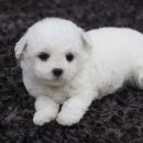 몽글몽글 이미지