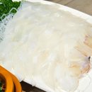 초심회포차 | 목포횟집 갑오징어 맛집 술집 해산물 제철회 잘하는 초심회포차 재방문 후기