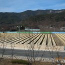 밀양본가 이미지