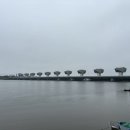 하단동1163 이미지