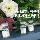 티나 에스테틱 이미지