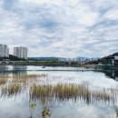 새들 노래연습장 이미지