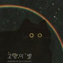 고양이 별 이미지