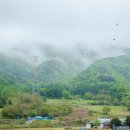 와수천 따라 걸은 여정 DMZ평화의길 18코스