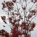 대공원입구로 이미지