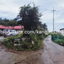 원포리민박 이미지