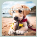 천호동물병원 이미지