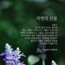 자연의선물 이미지