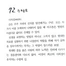수필은 시의성 이미지