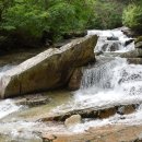 금원산자연휴양림 이미지