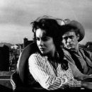 다물목장 이미지