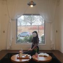 더봄(the봄) 이미지