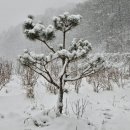 산내뜰생태어린이집 이미지